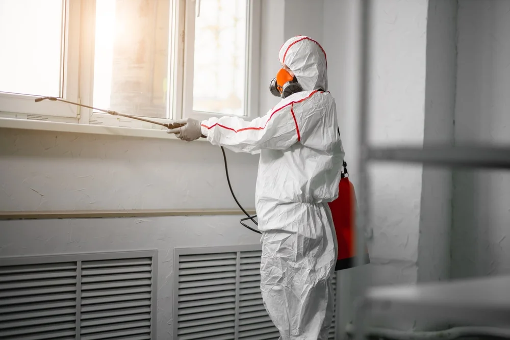 Professional mold remediation services in Romulus, MI